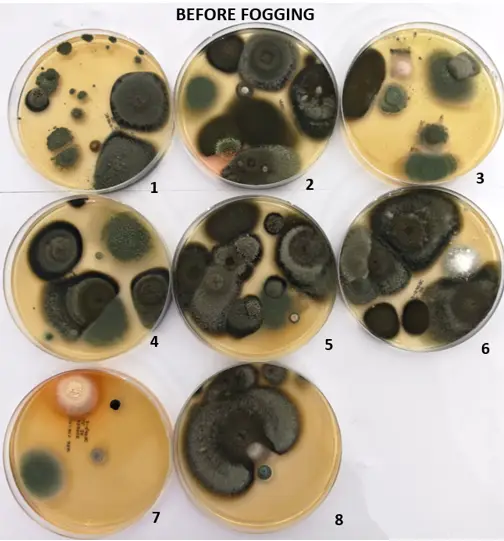 Petri dish report — BEFORE Fogging: 8 agar plates showing heavy mould contamination across all sampled rooms.