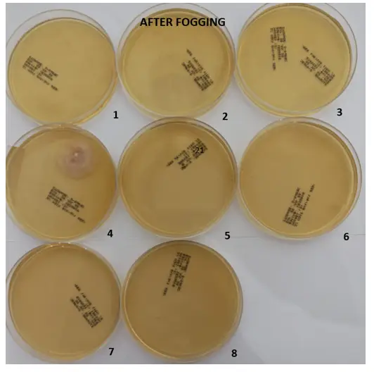 Petri dish report — AFTER Fogging: 8 agar plates showing cleanroom status with virtually no mould growth.